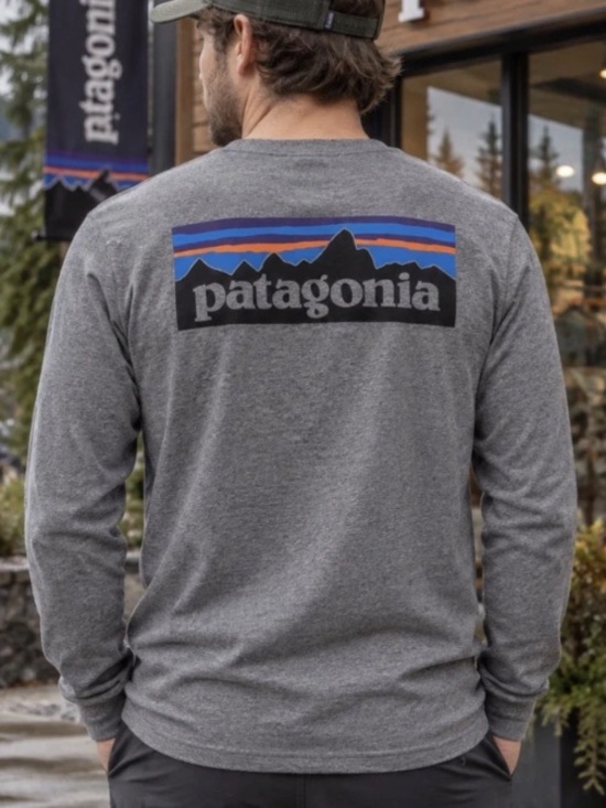 Patagonia Other - Patagonia Men's P-6 Logo Responsibili-Tee Long Sleeve Shirt Gray S
